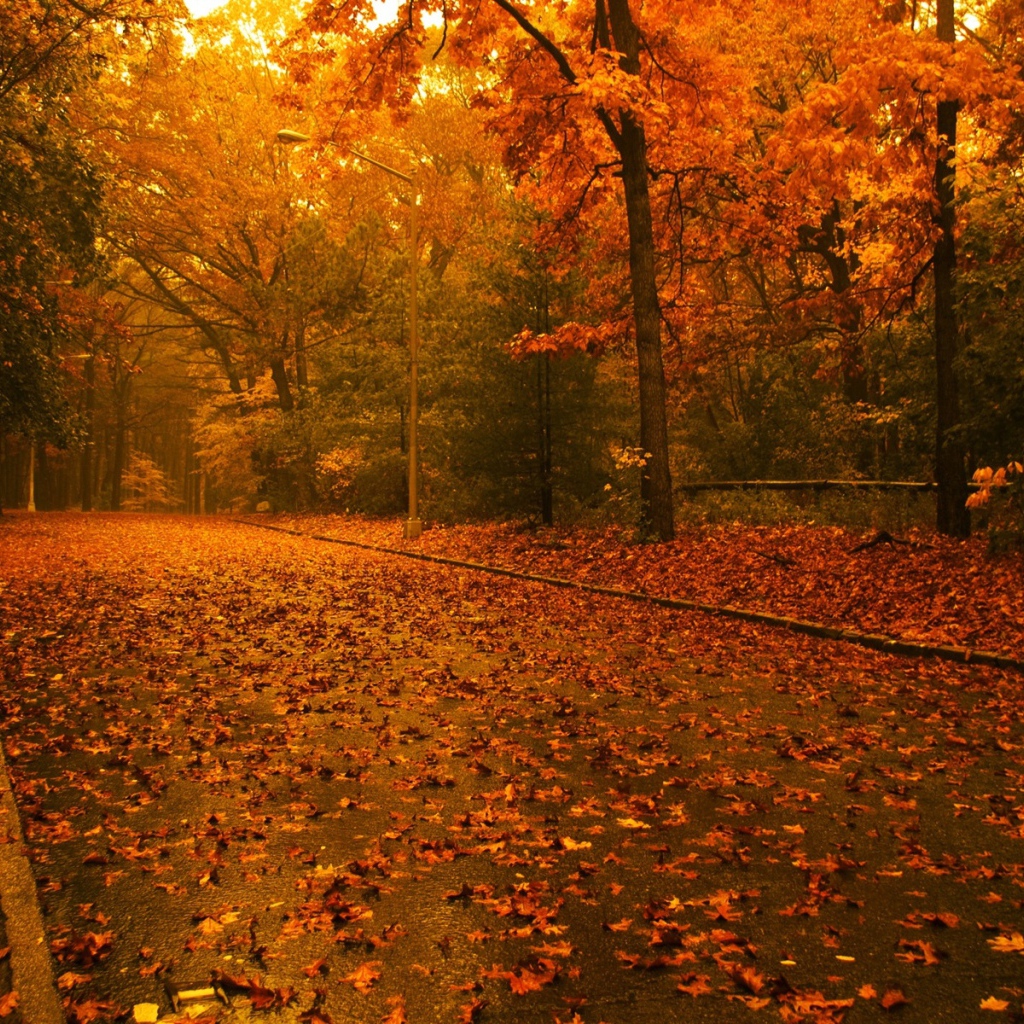 Осенний вечер