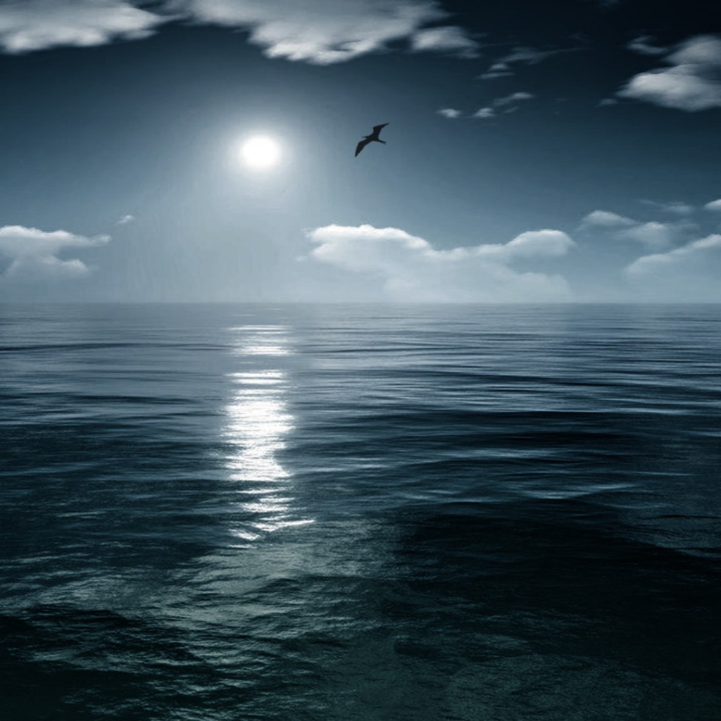 Птица летит на закате