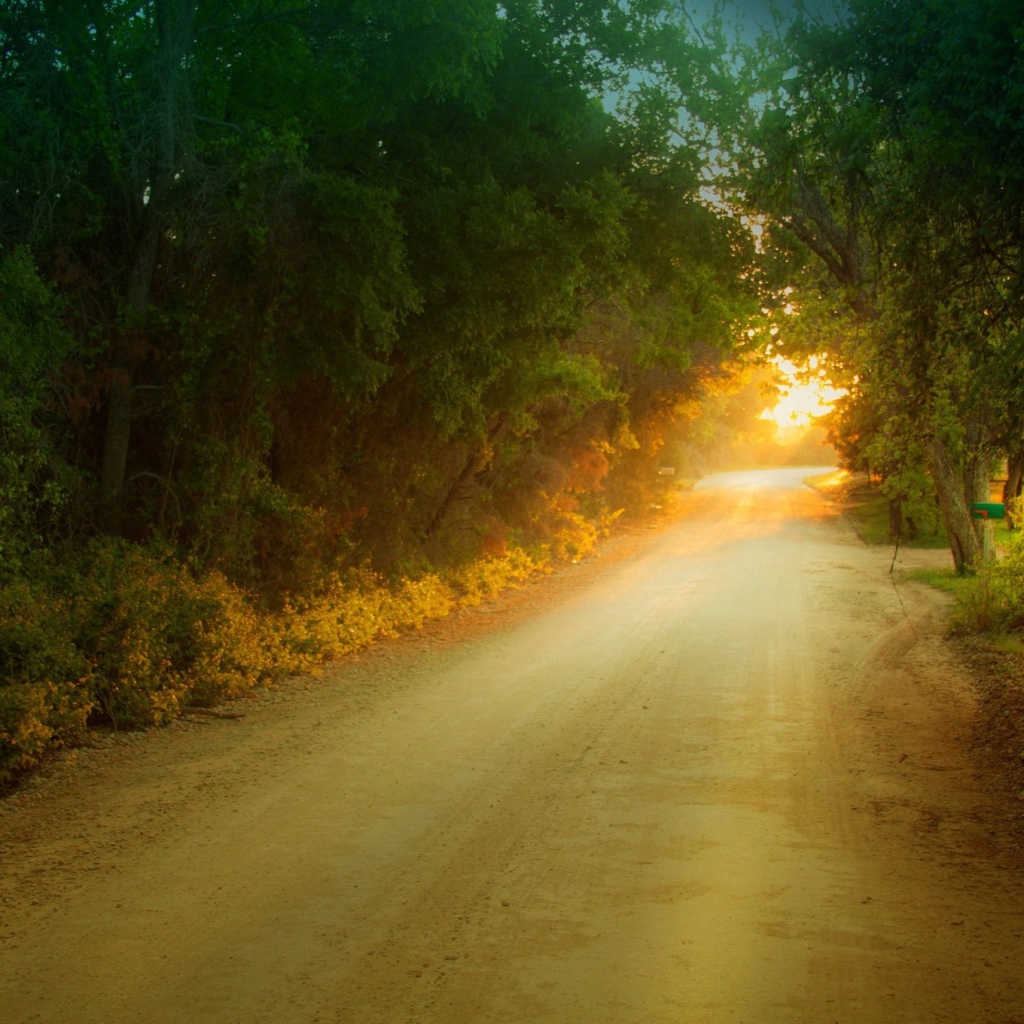 Солнце в дорожном просвете