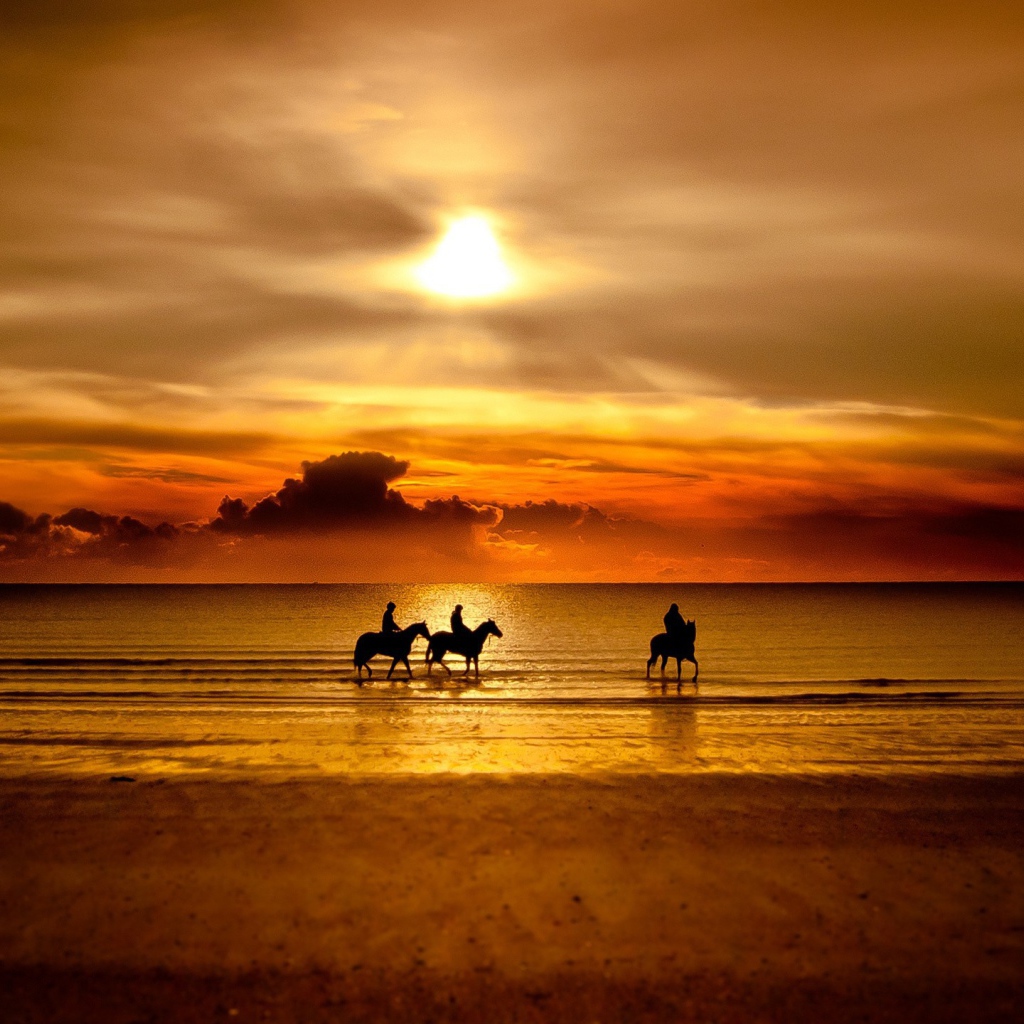 Всадники на лошадях на пляже
