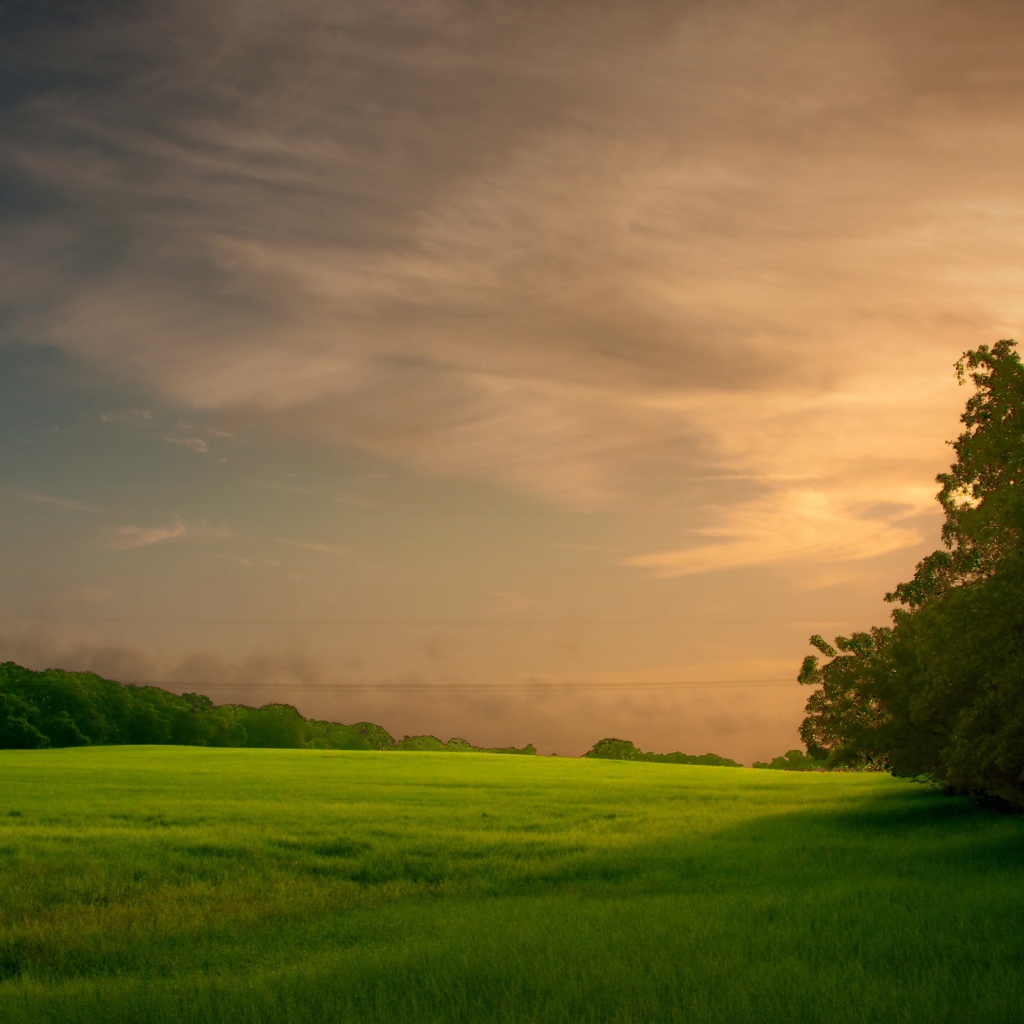Закат на зеленом поле