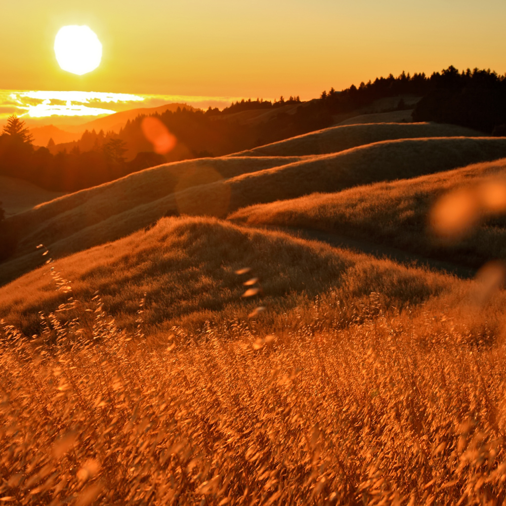 Закат в Калифорнии
