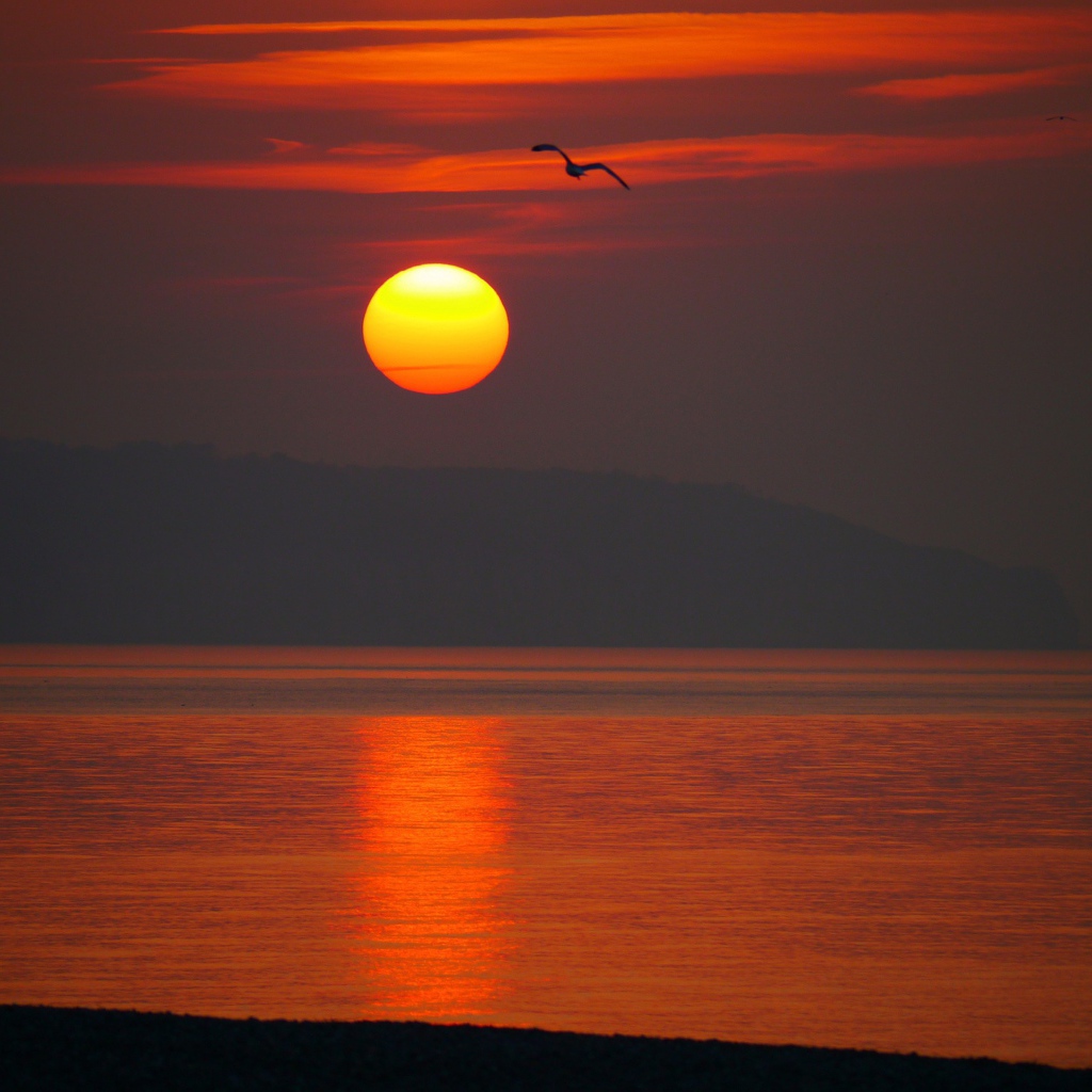 Закат над морем с птицей