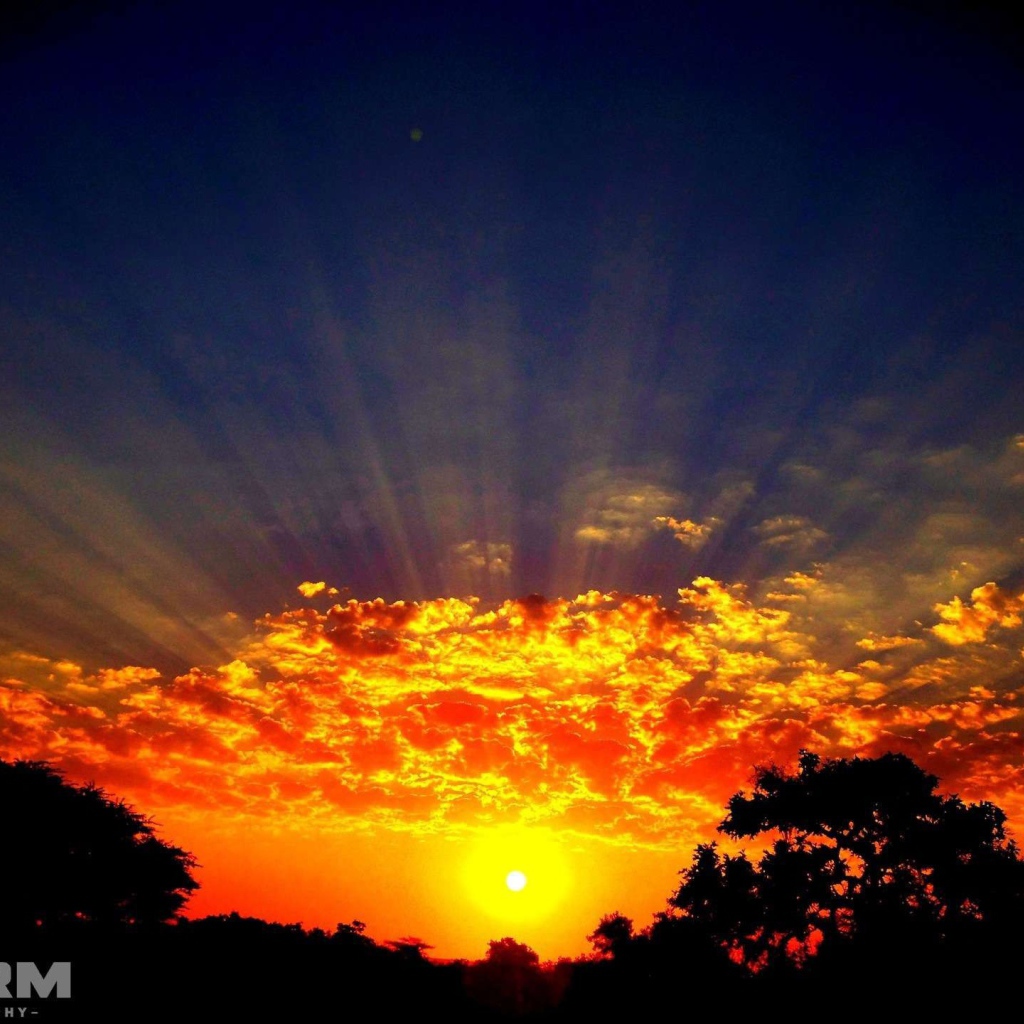 Лучи солнца