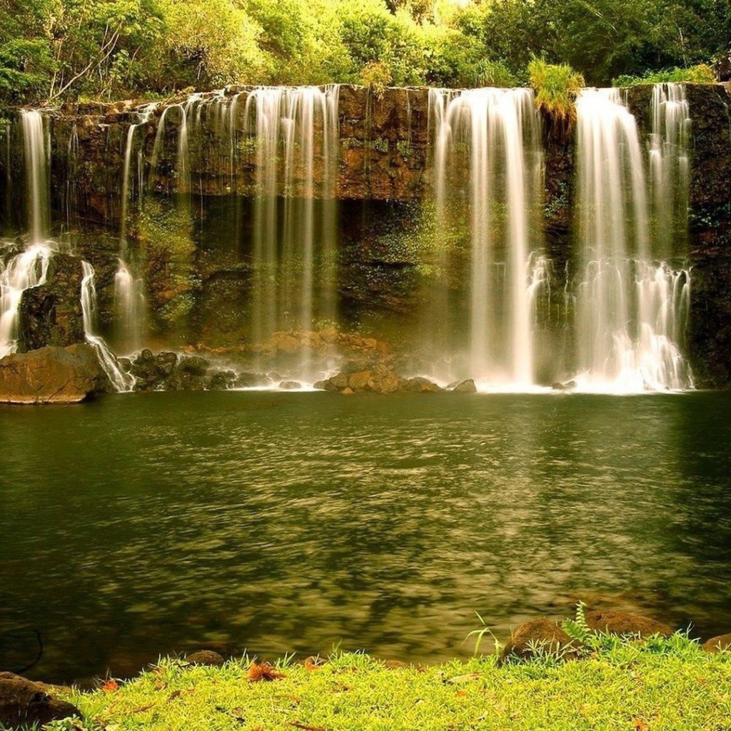 Золотисто зеленый водопад