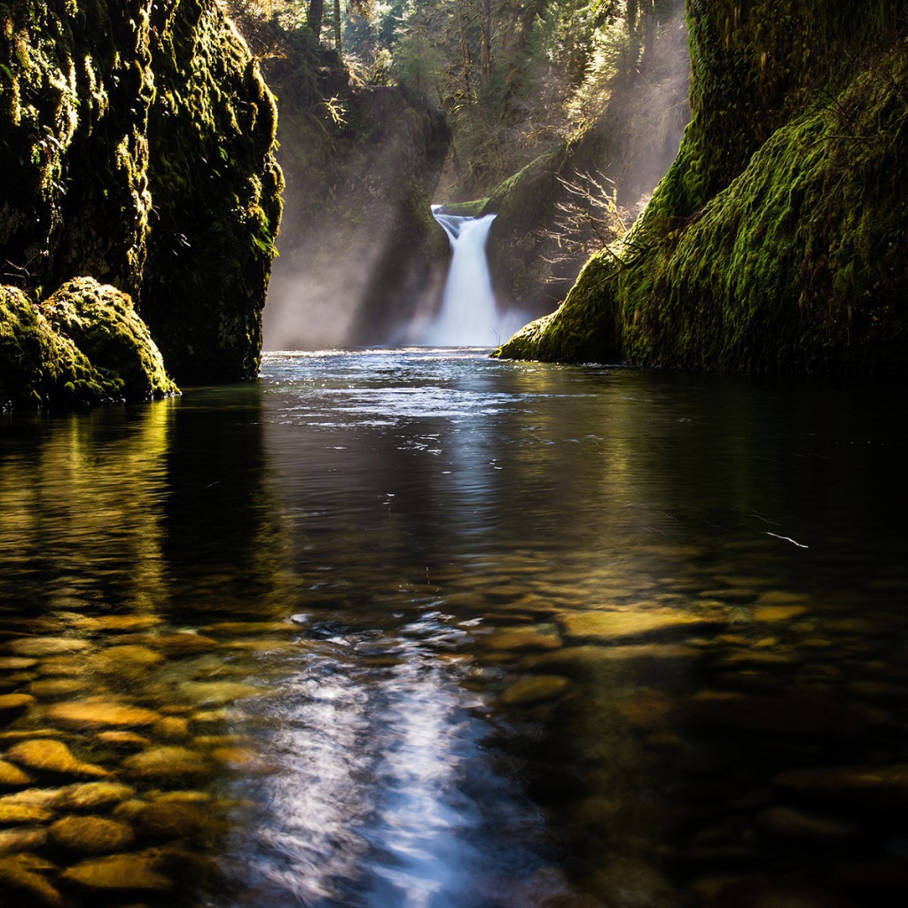 Водопад во мху