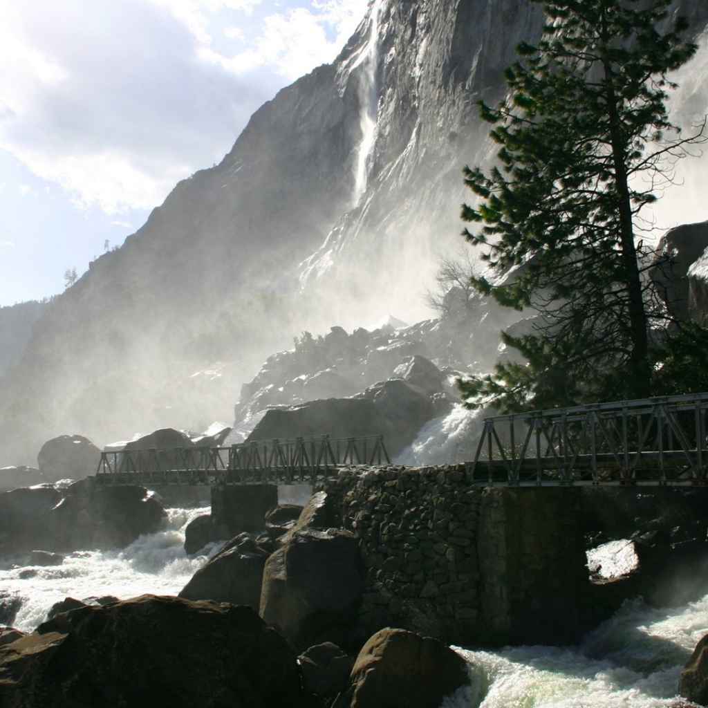 Одинокая сосна у водопада