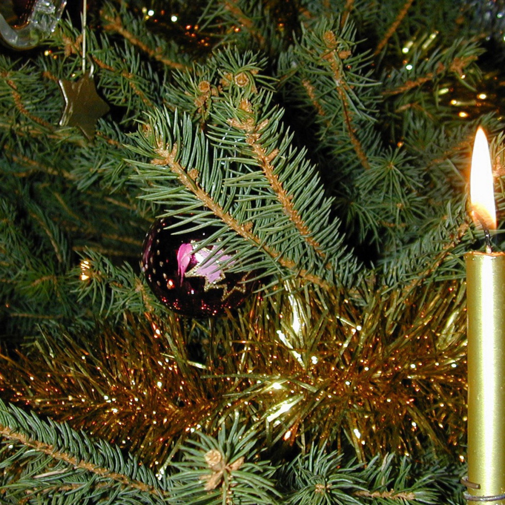 Новогодняя елка и горящая свеча