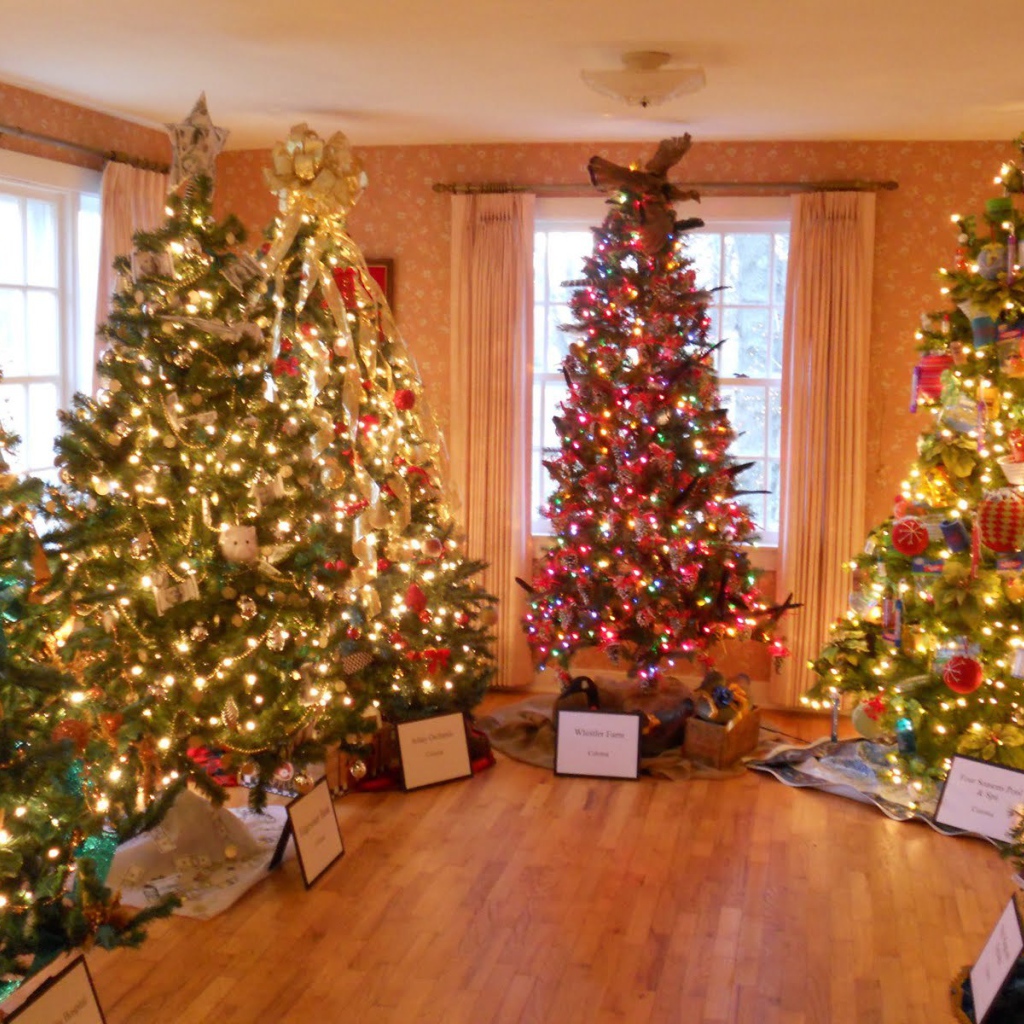 Много новогодних елок