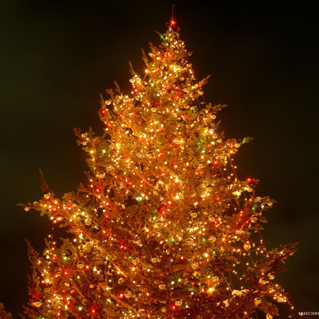 Яркая Новогодняя елка