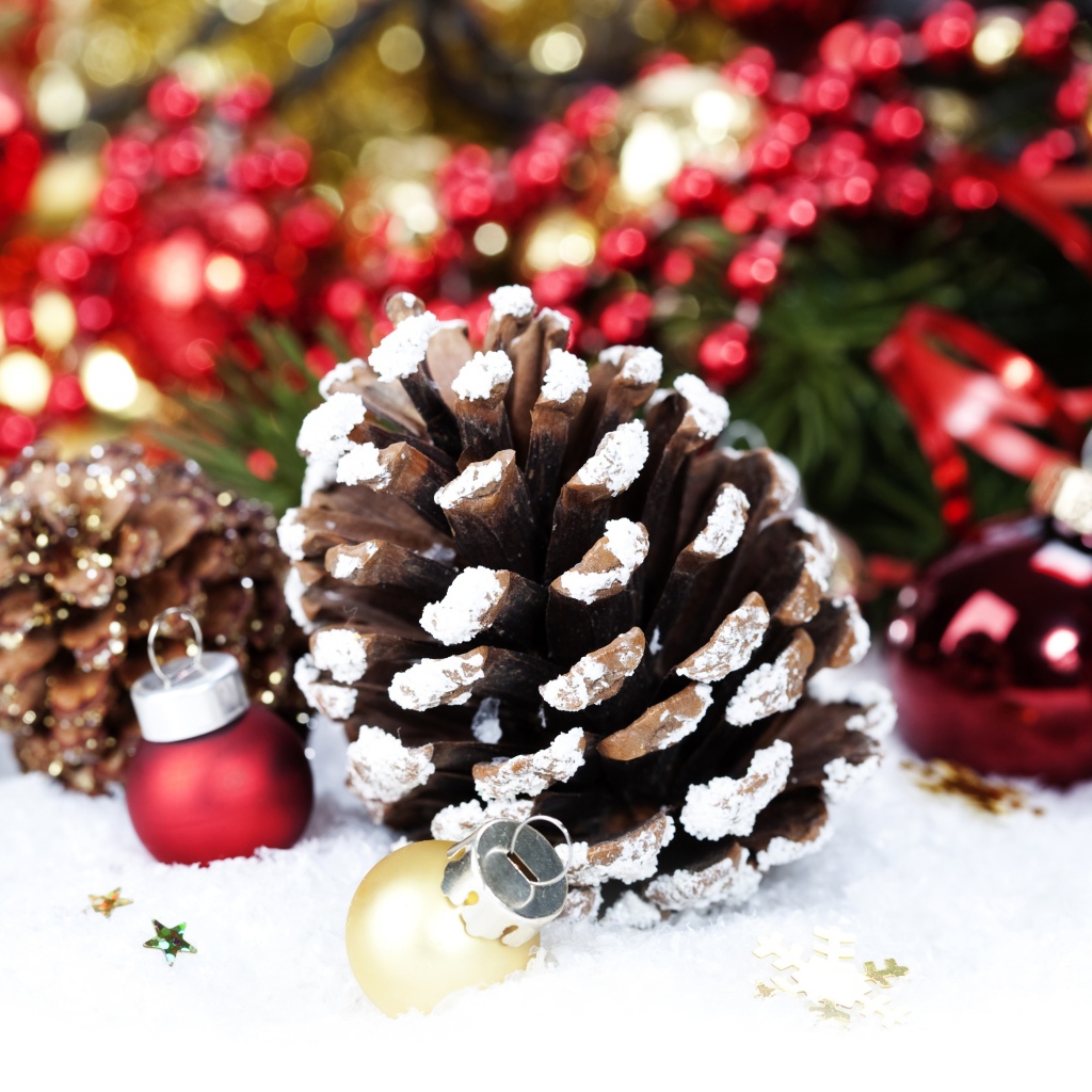 Шишка и игрушки на снегу