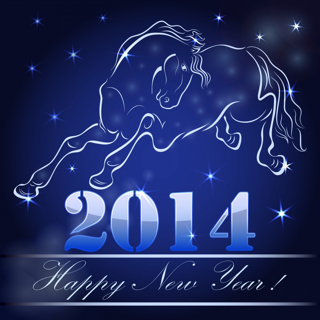 Встреча Нового 2014 Года