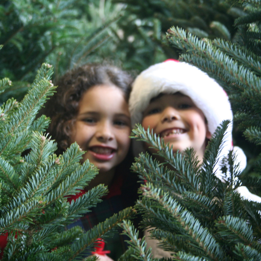 Дети у новогодней елки 2014