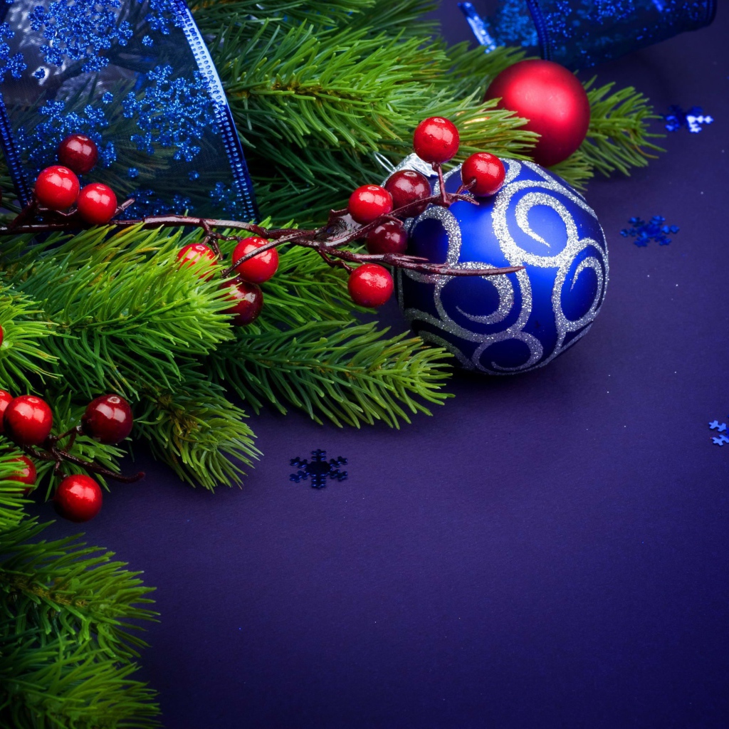 Christmas-tree branch and blue toy