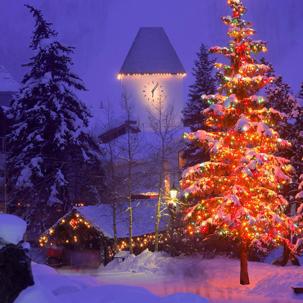 Елка на Новый Год 2014