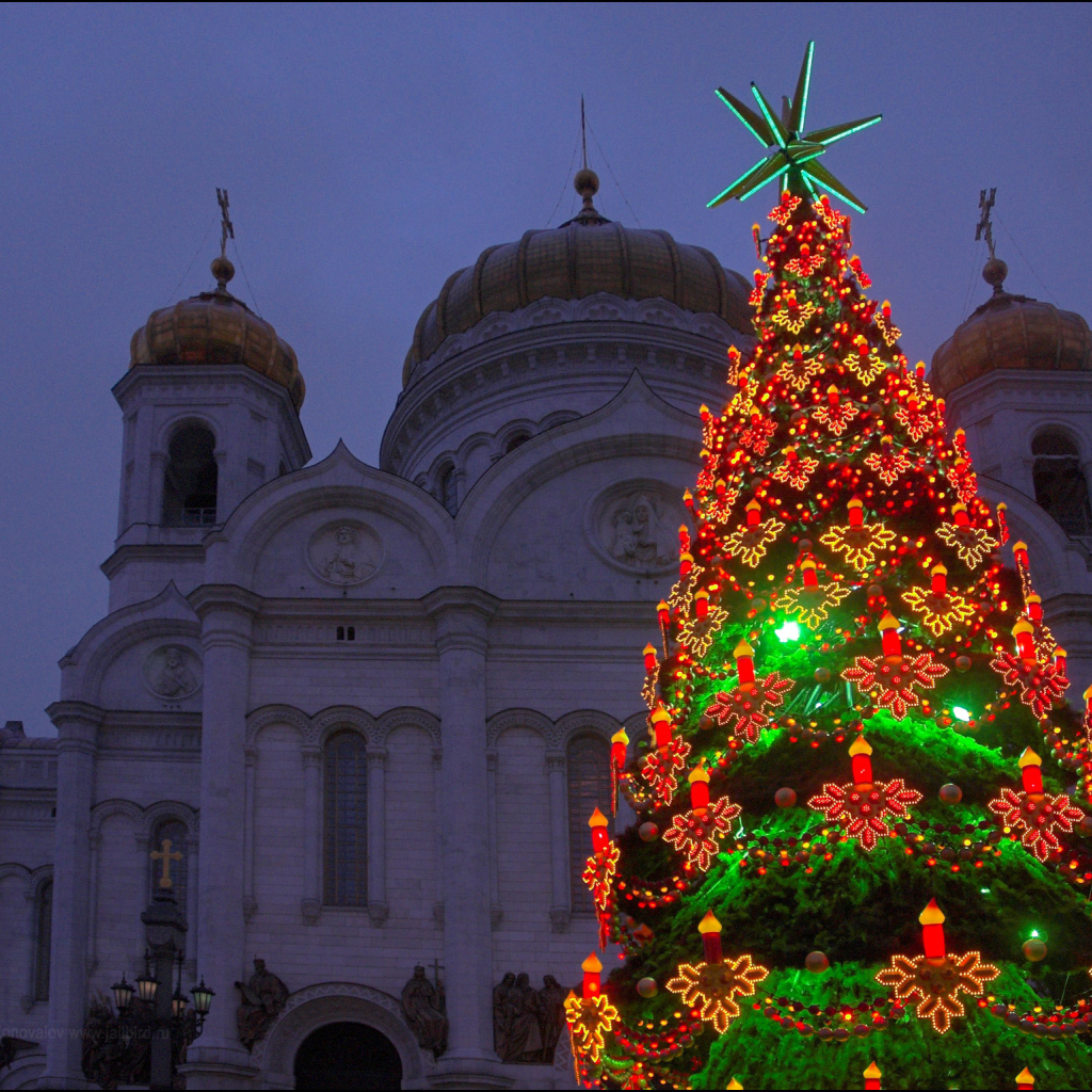 Новогодняя ёлка в царицыно 2014