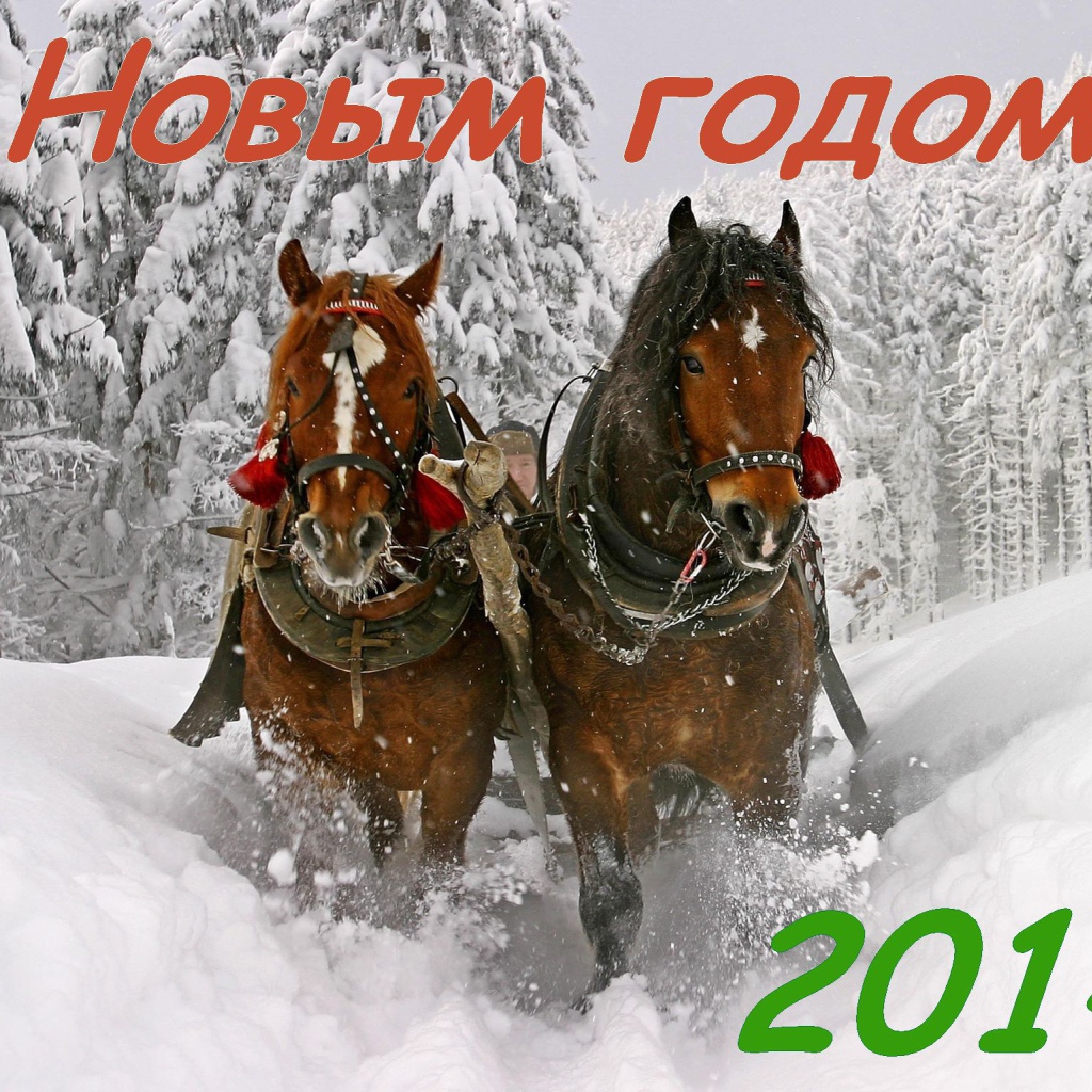 С новым годом 2014, лошадки бегут по снегу