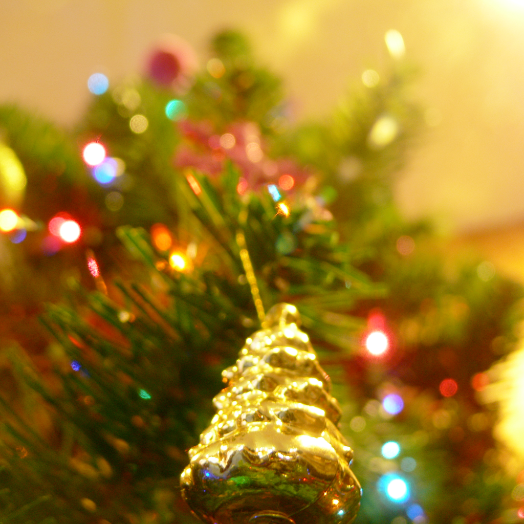 Новогодняя елка в ярких огнях