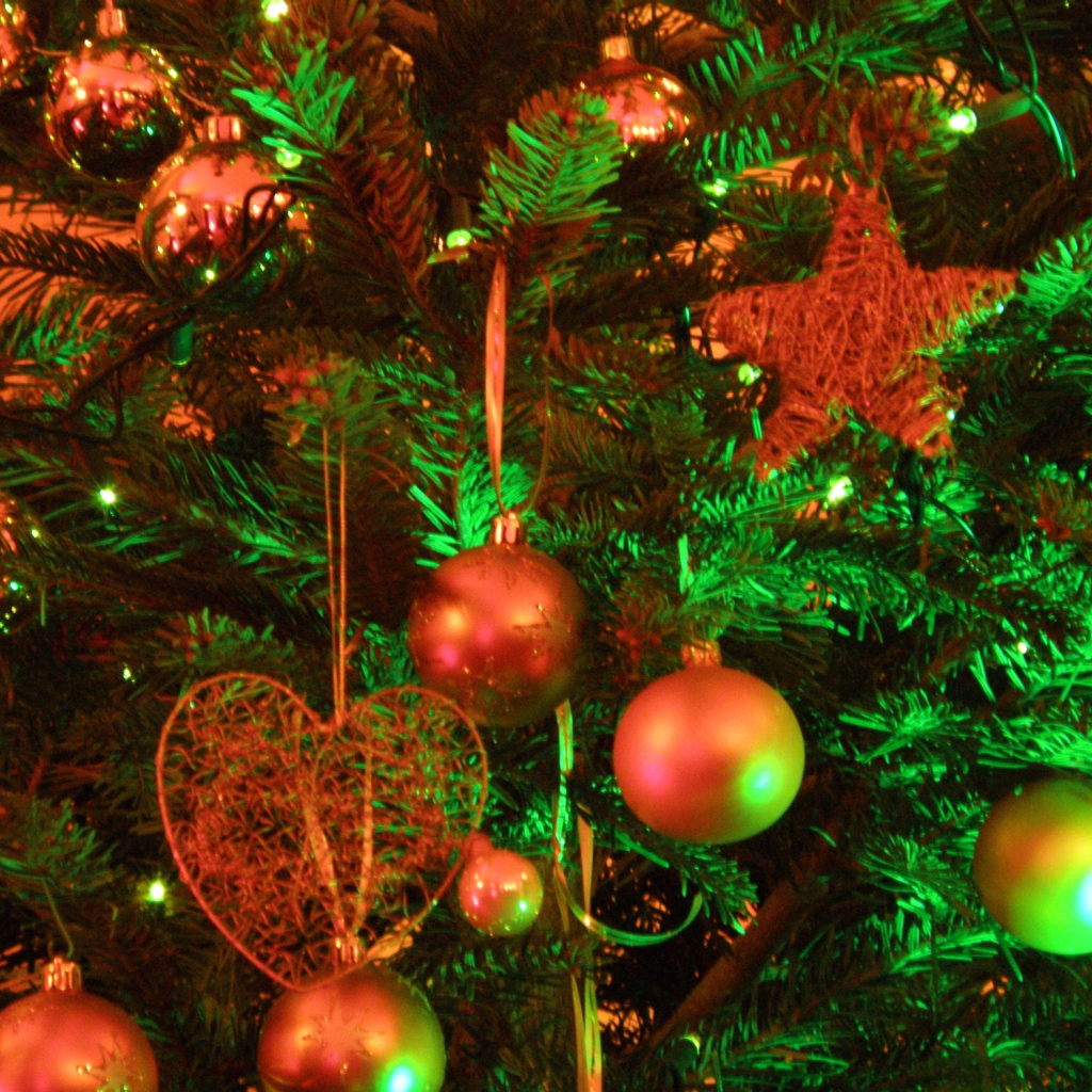 Новогодняя елка в зеленых светах