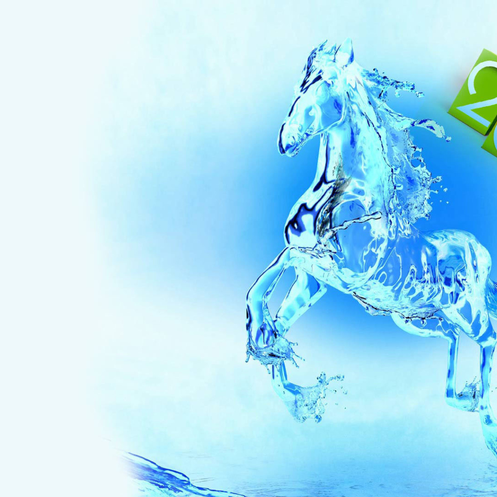 Новый год 2014 и лошадь из воды