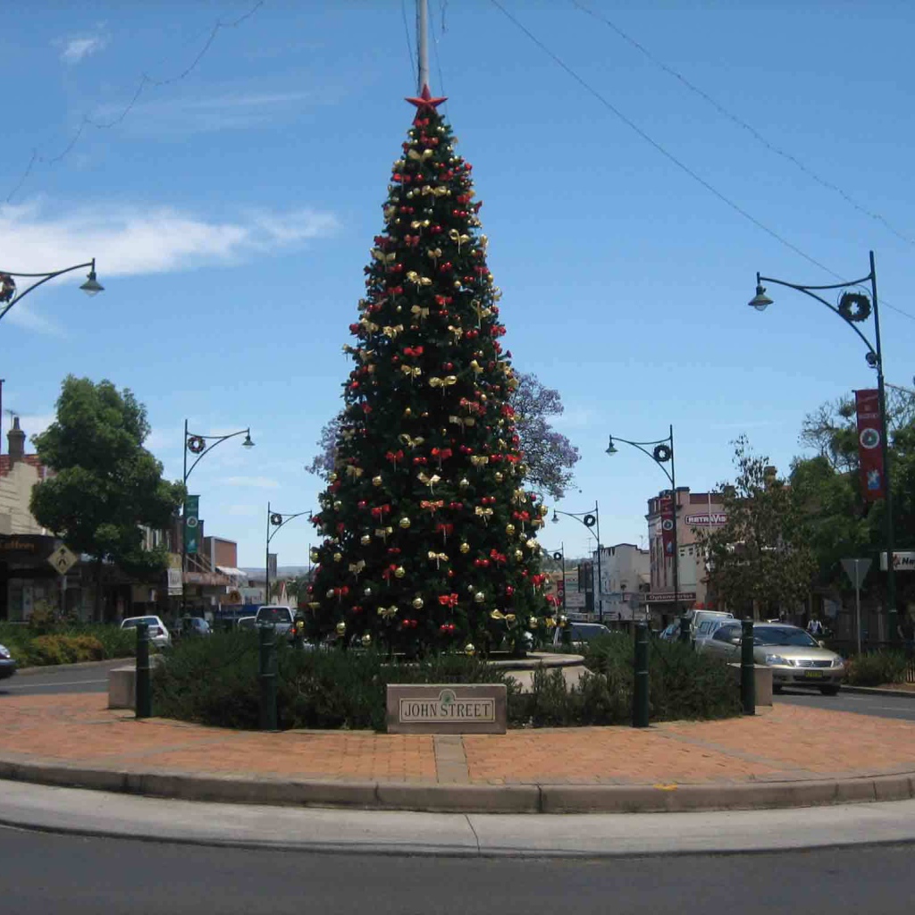 Новогодняя елка в Америке