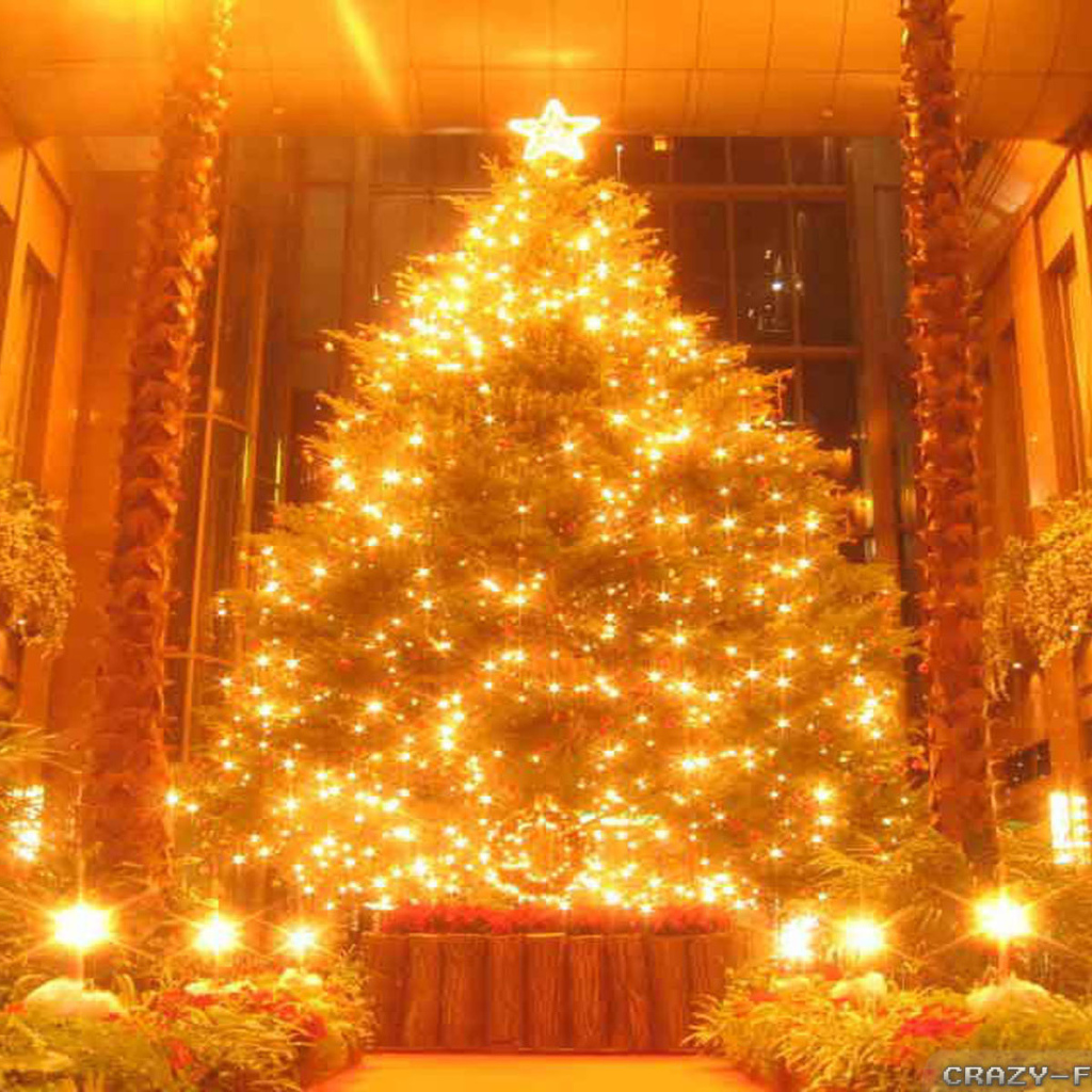 Новогодняя елка в поразительной картине