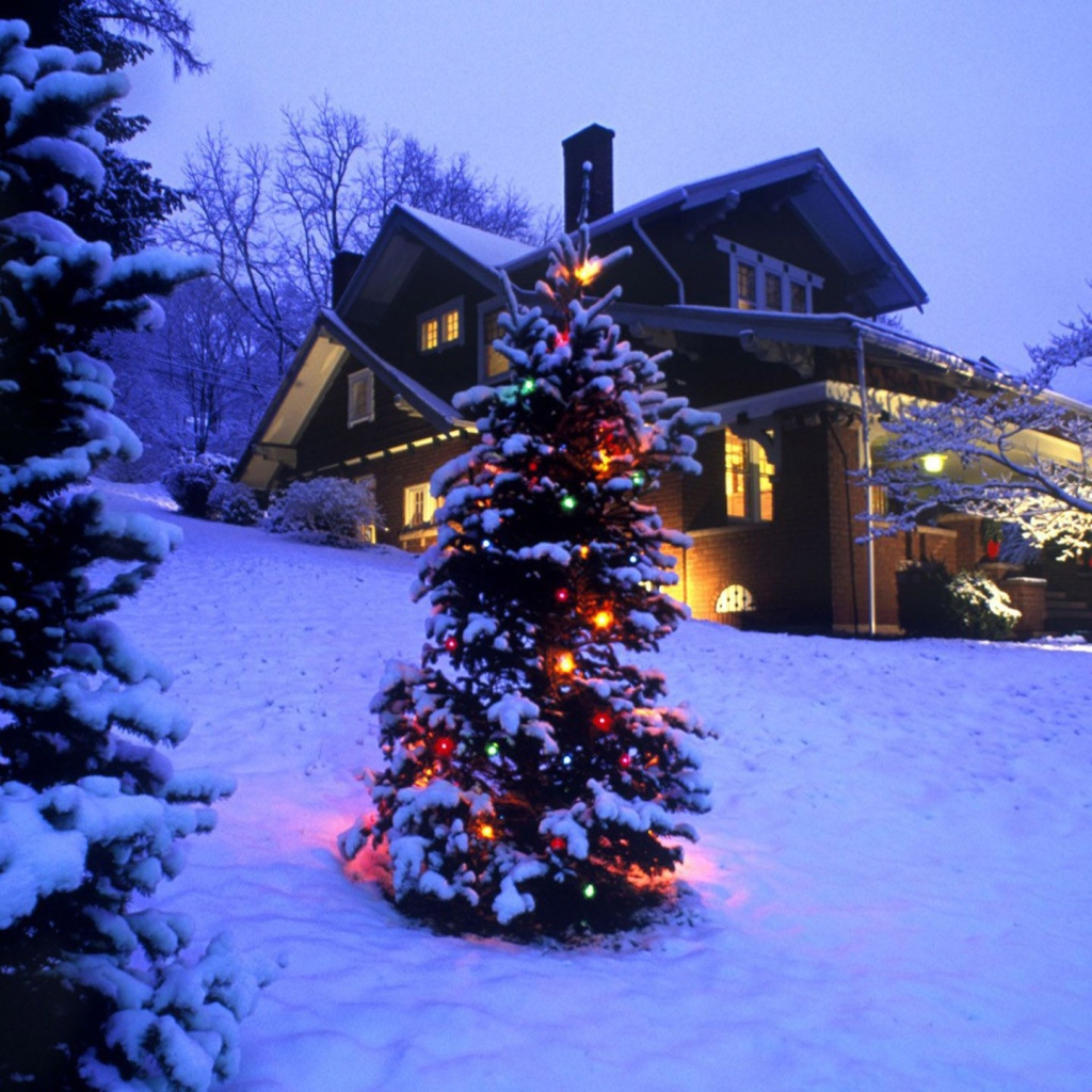 Новогодняя елка в зимнем лесу