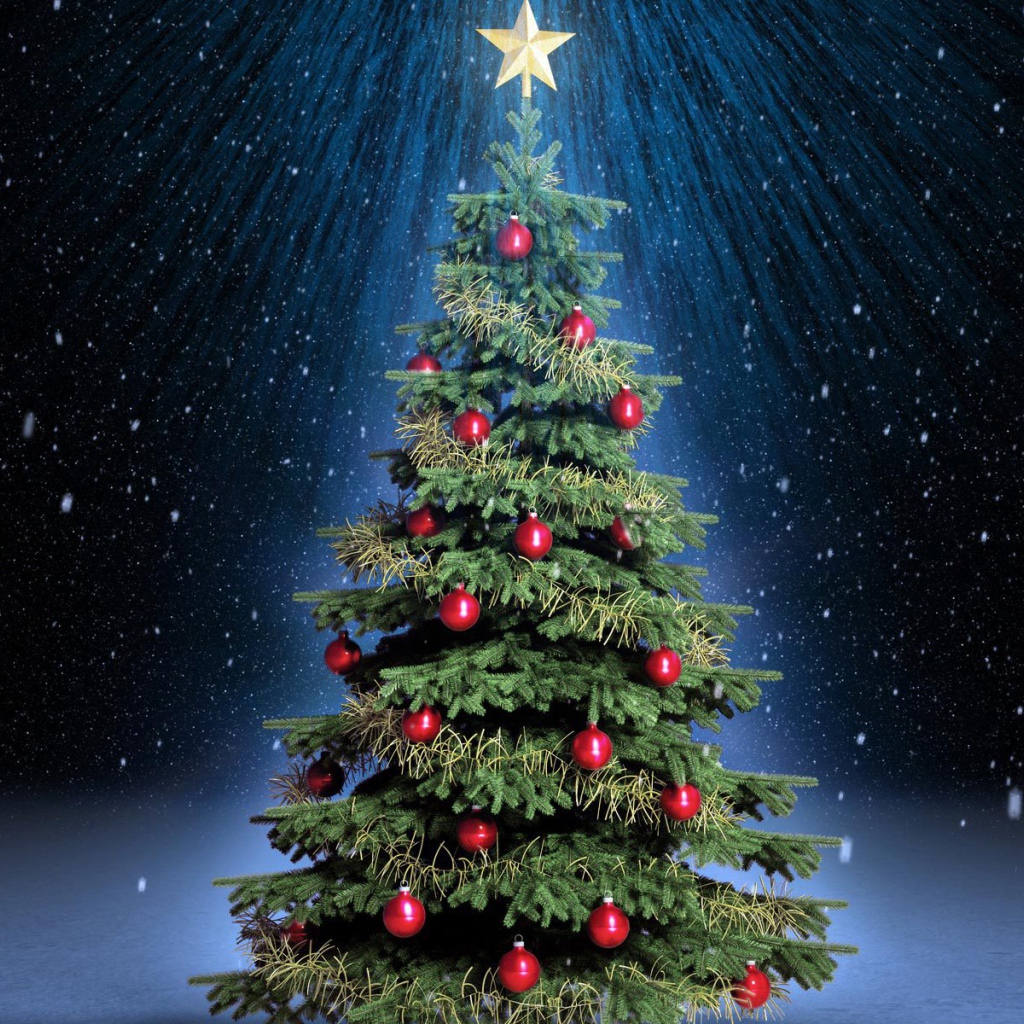 Новогодняя елка под светом звезды