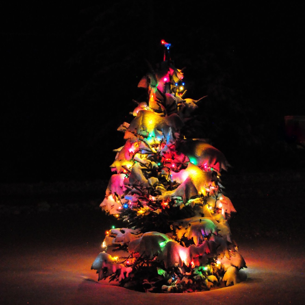 Наша маленькая Новогодняя елка