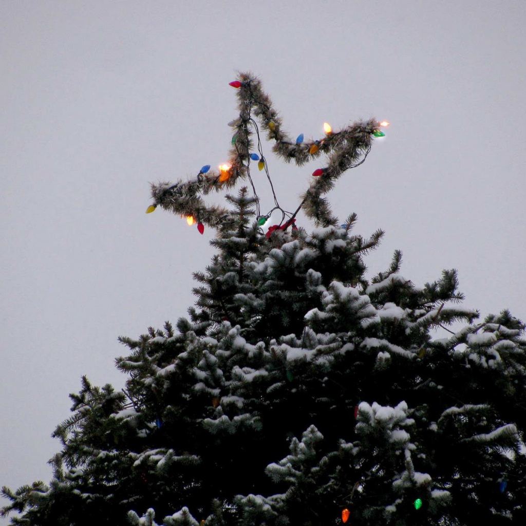 Звезда новогодней елки