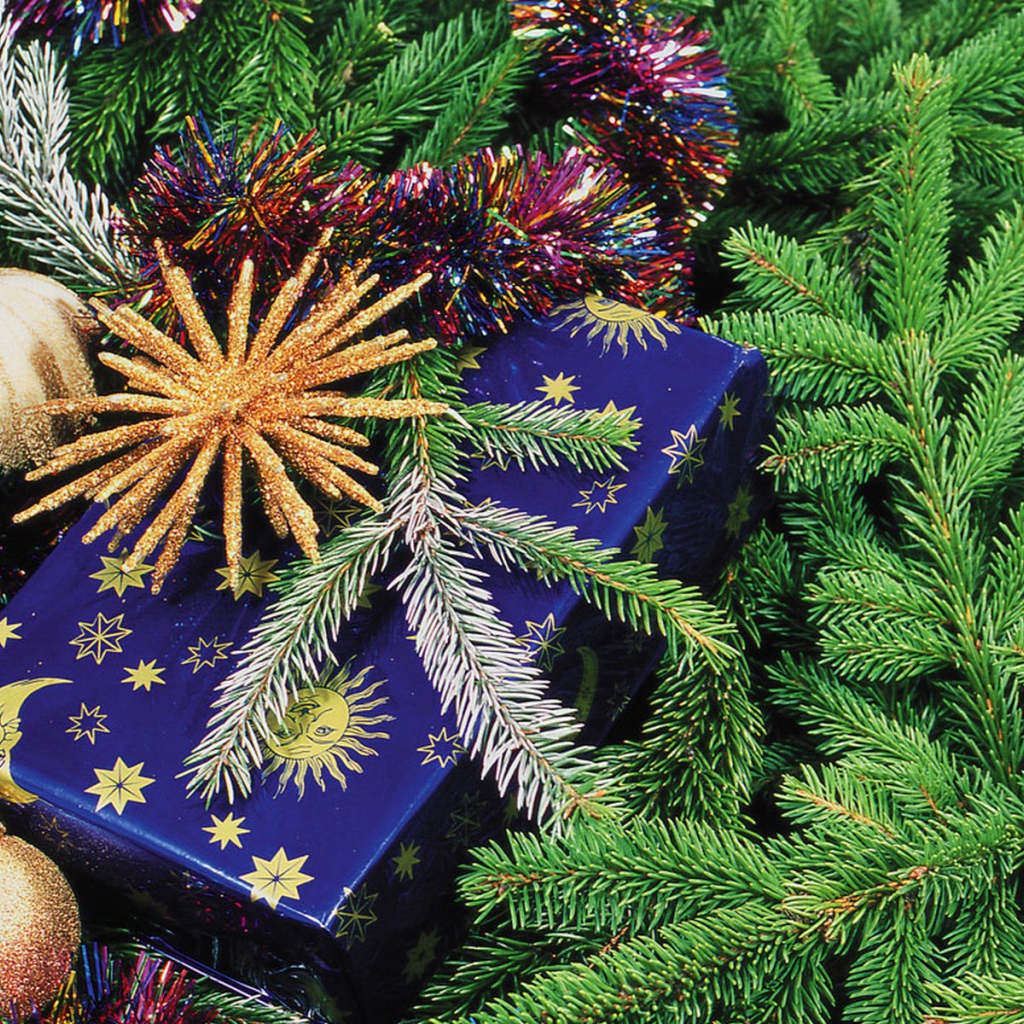 Подарок у елки на Новый год