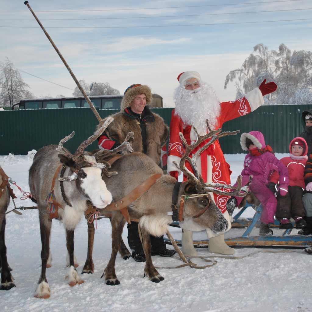 B гости к деду морозу