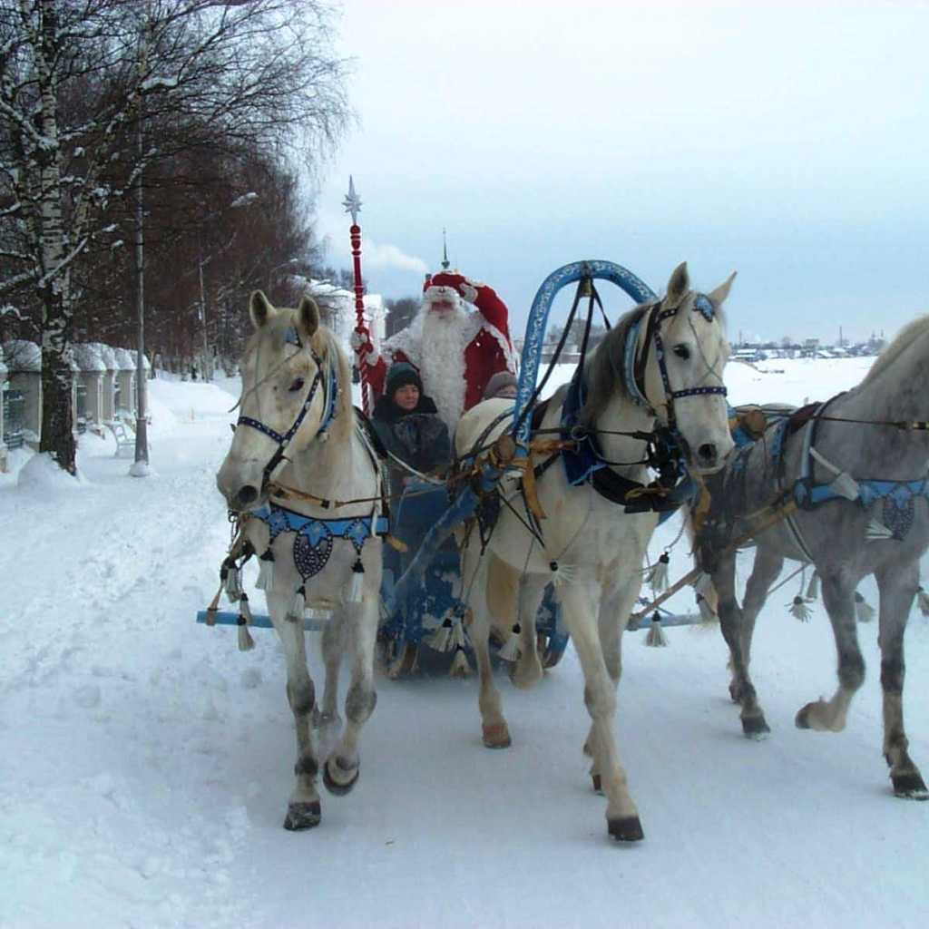 Pодина деда мороза