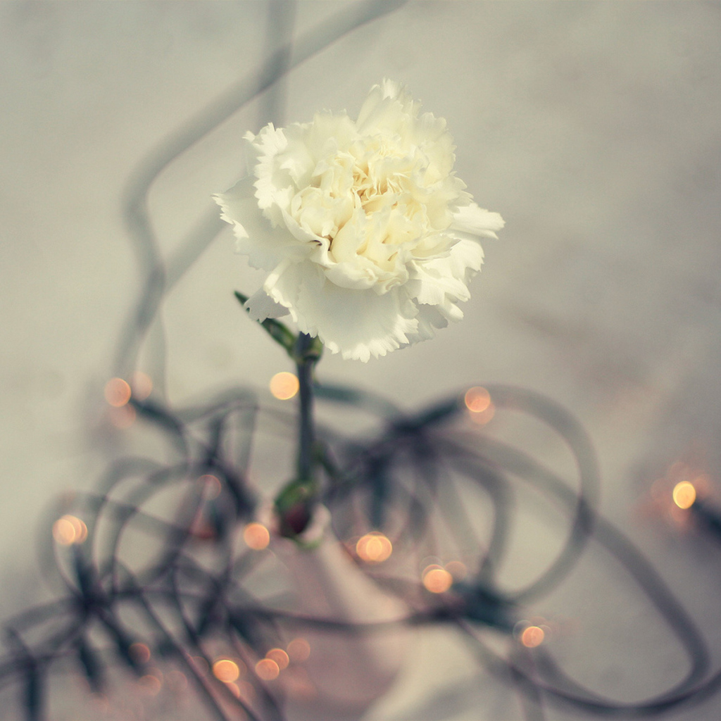 Цветок гирлянда