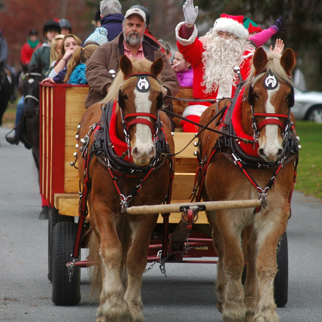 Дед мороз на лошади
