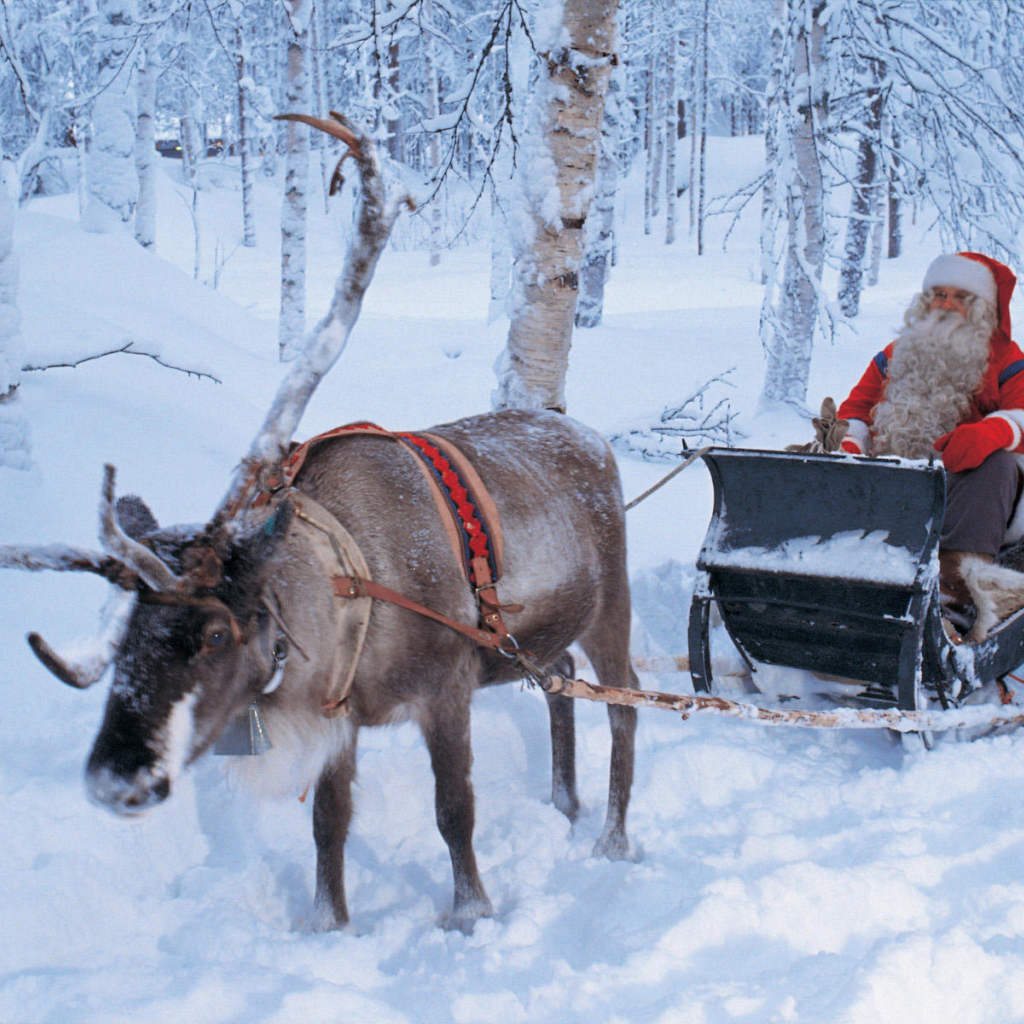 Дед мороз на санях