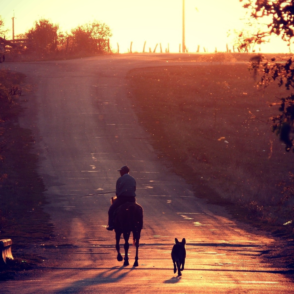 Всадник и собака на прогулке