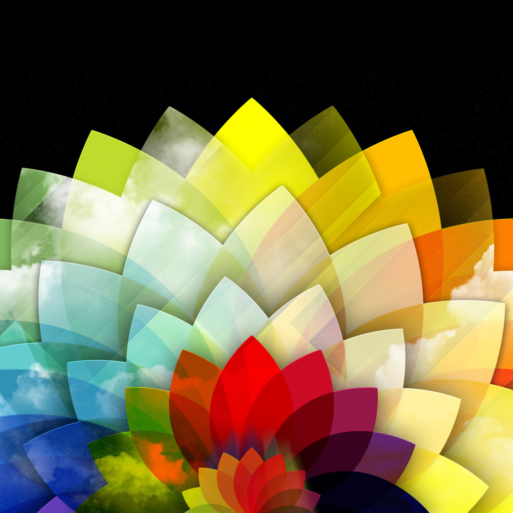 Абстракция из разноцветных лепестков