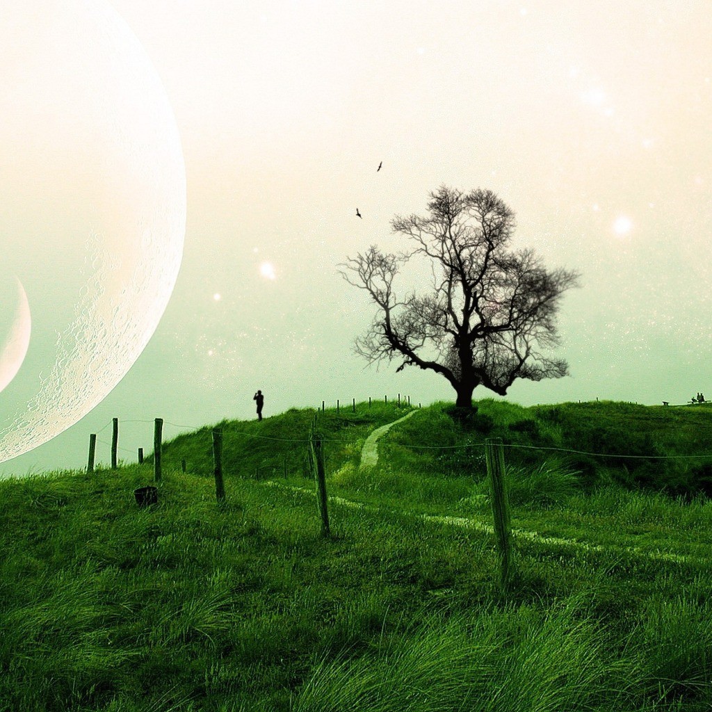 Композиция на тему природа