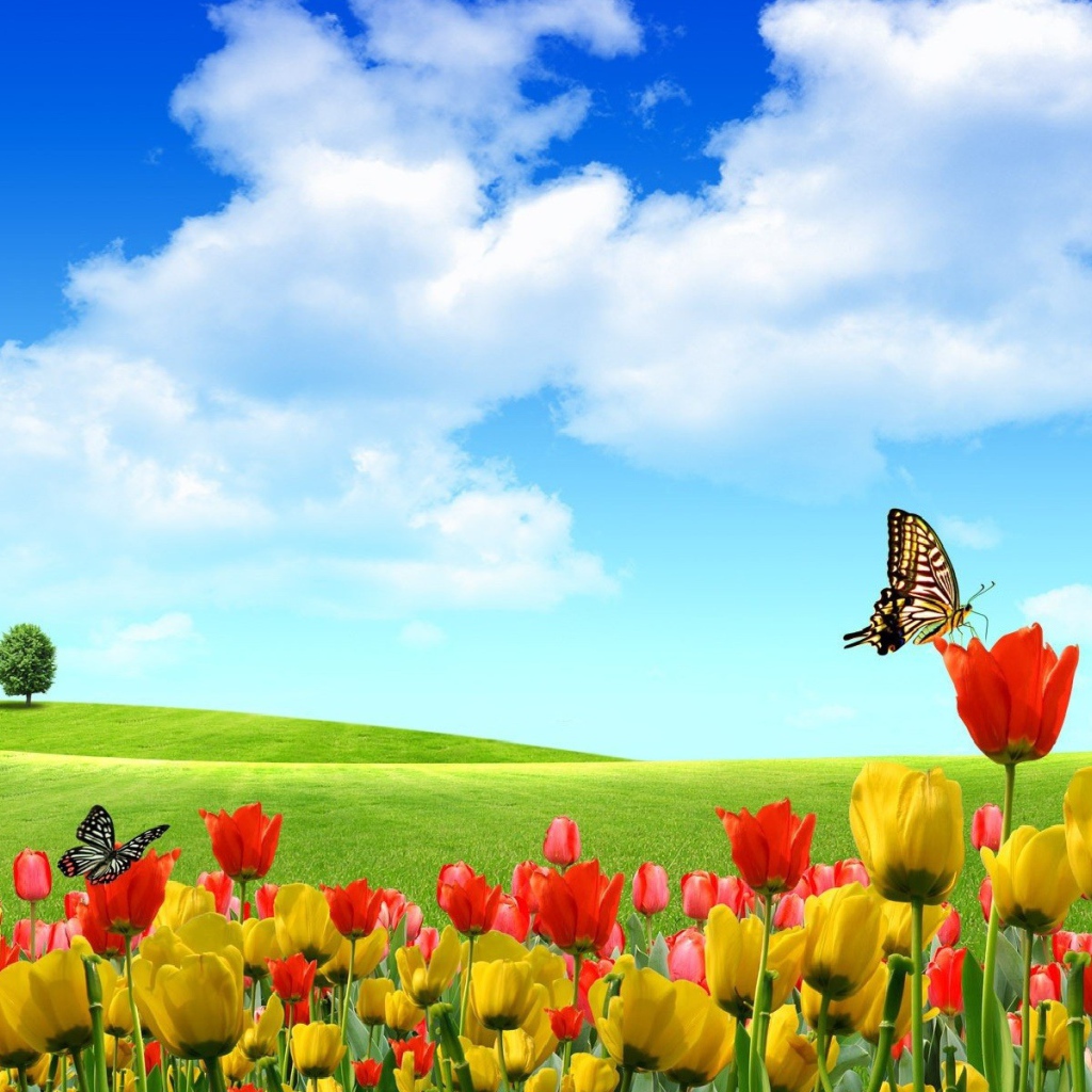 Абстрактные бабочки на тюльпанах