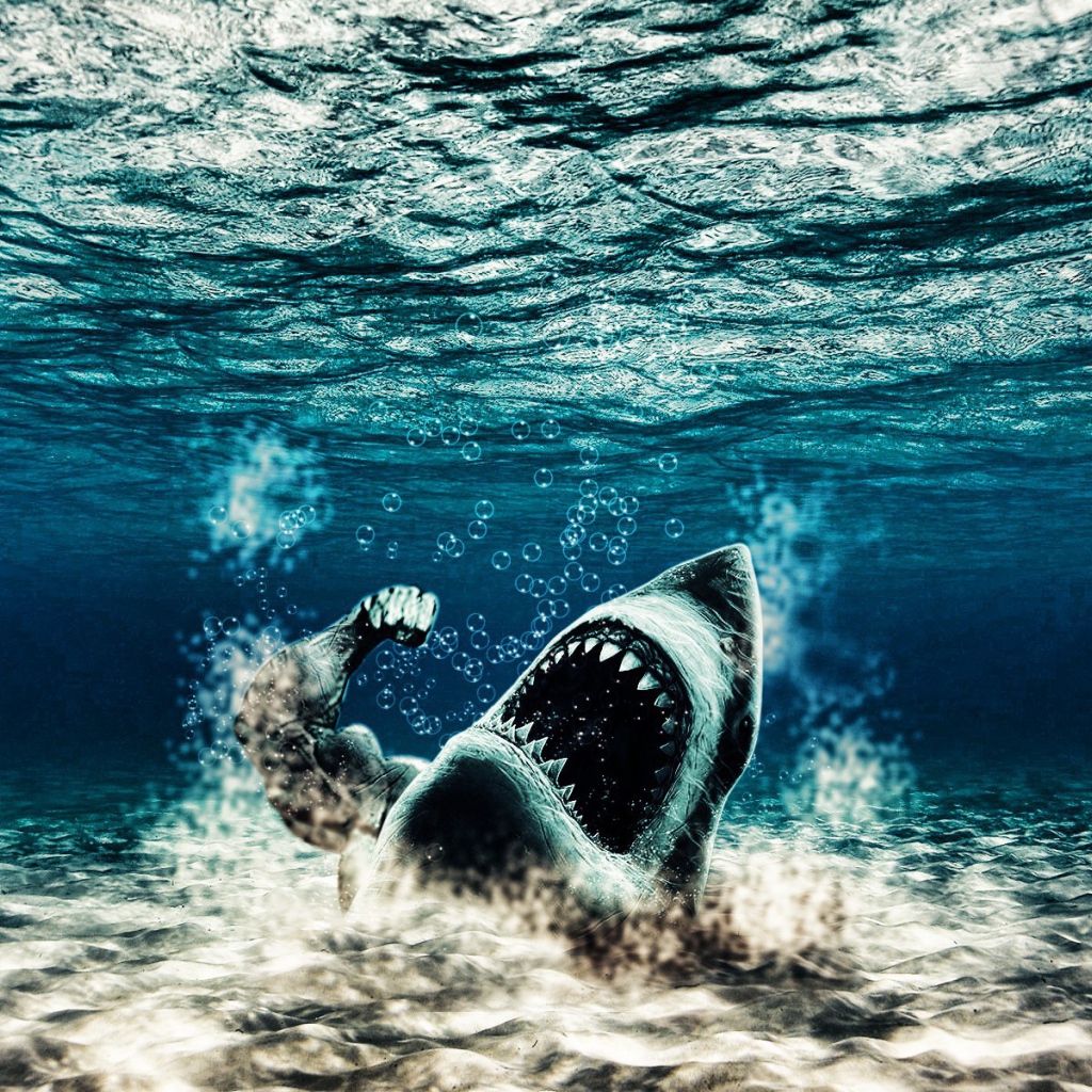 Акула с рукой человека