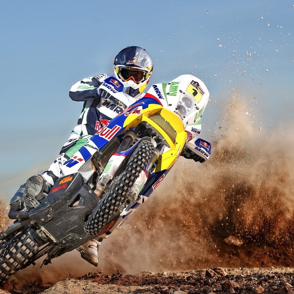 Гонки по пересеченной местности