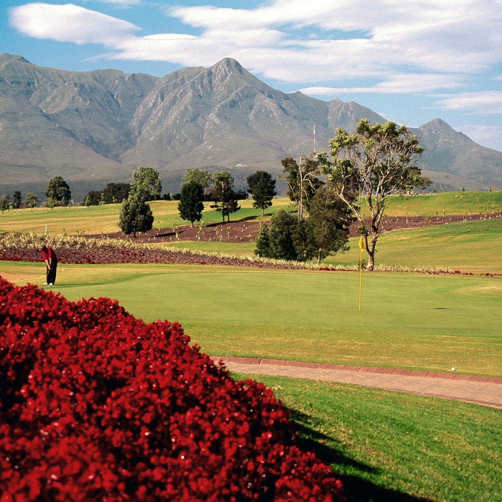 Поле для игры в Гольф