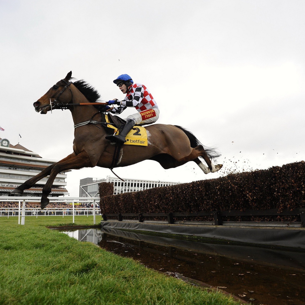 Лошадиные скачки