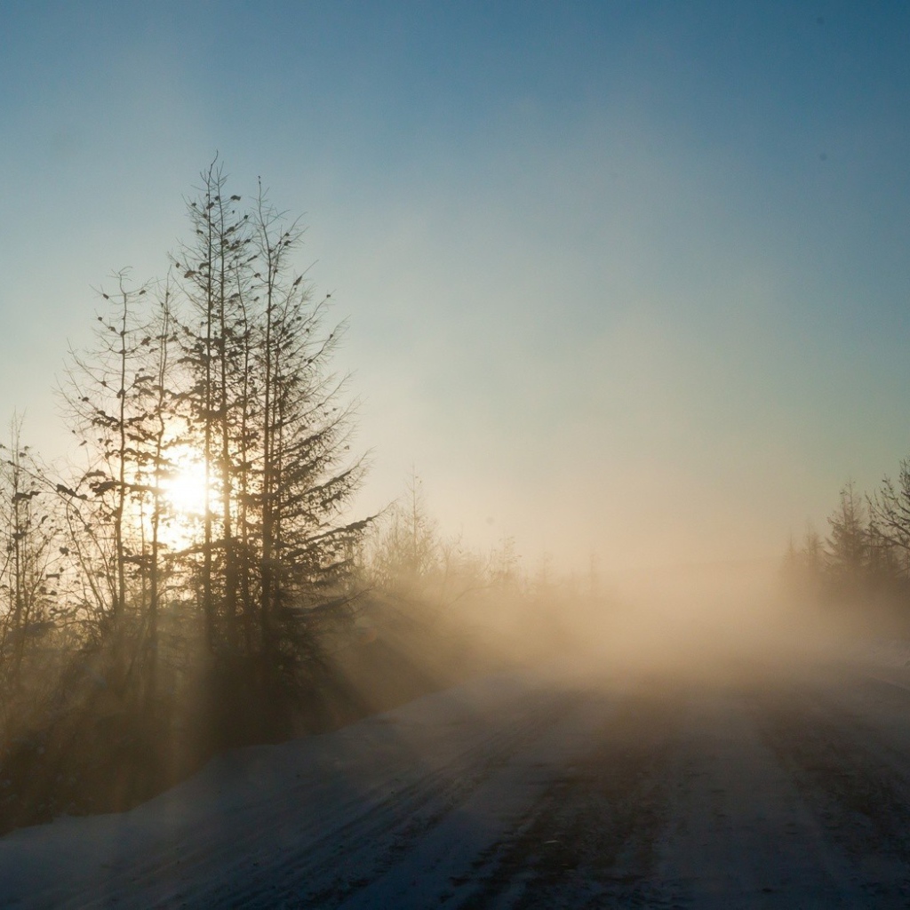 Морозное утро на дороге