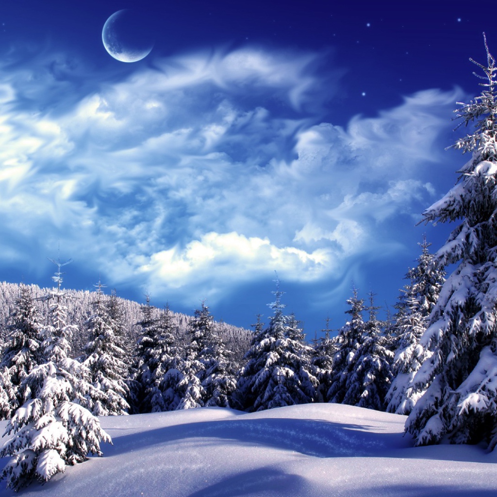 Зимний лес под лунным светом
