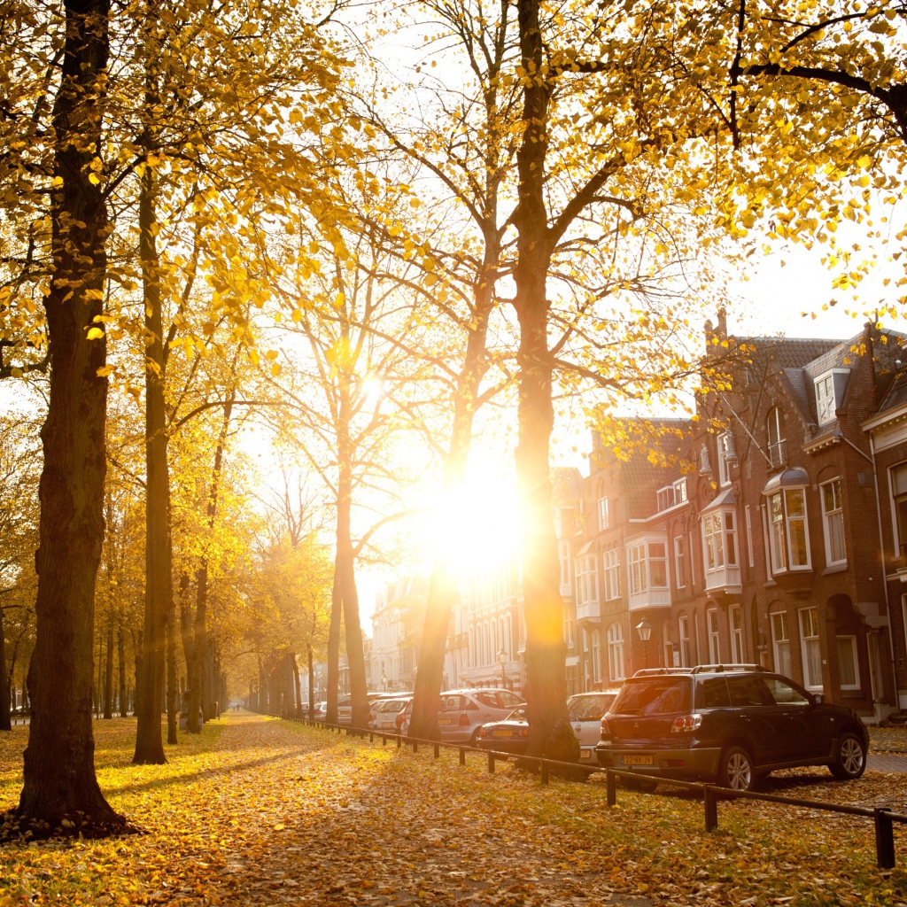 Осенний день в Утрехте