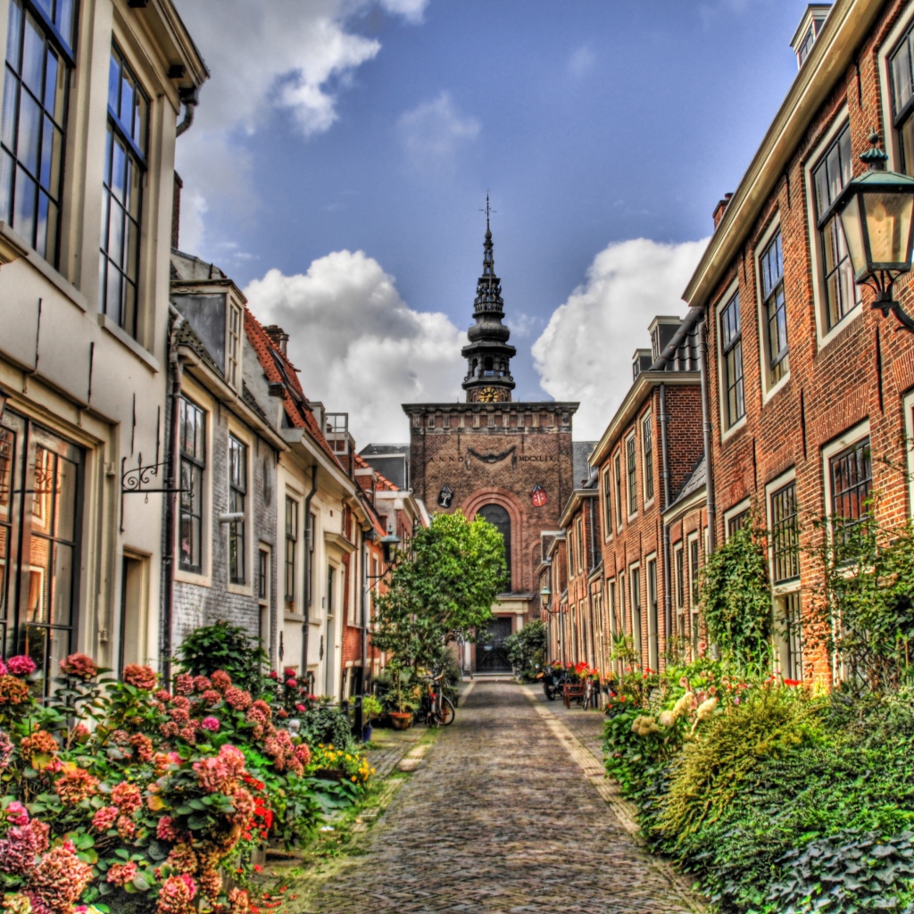 Улица в Голландии