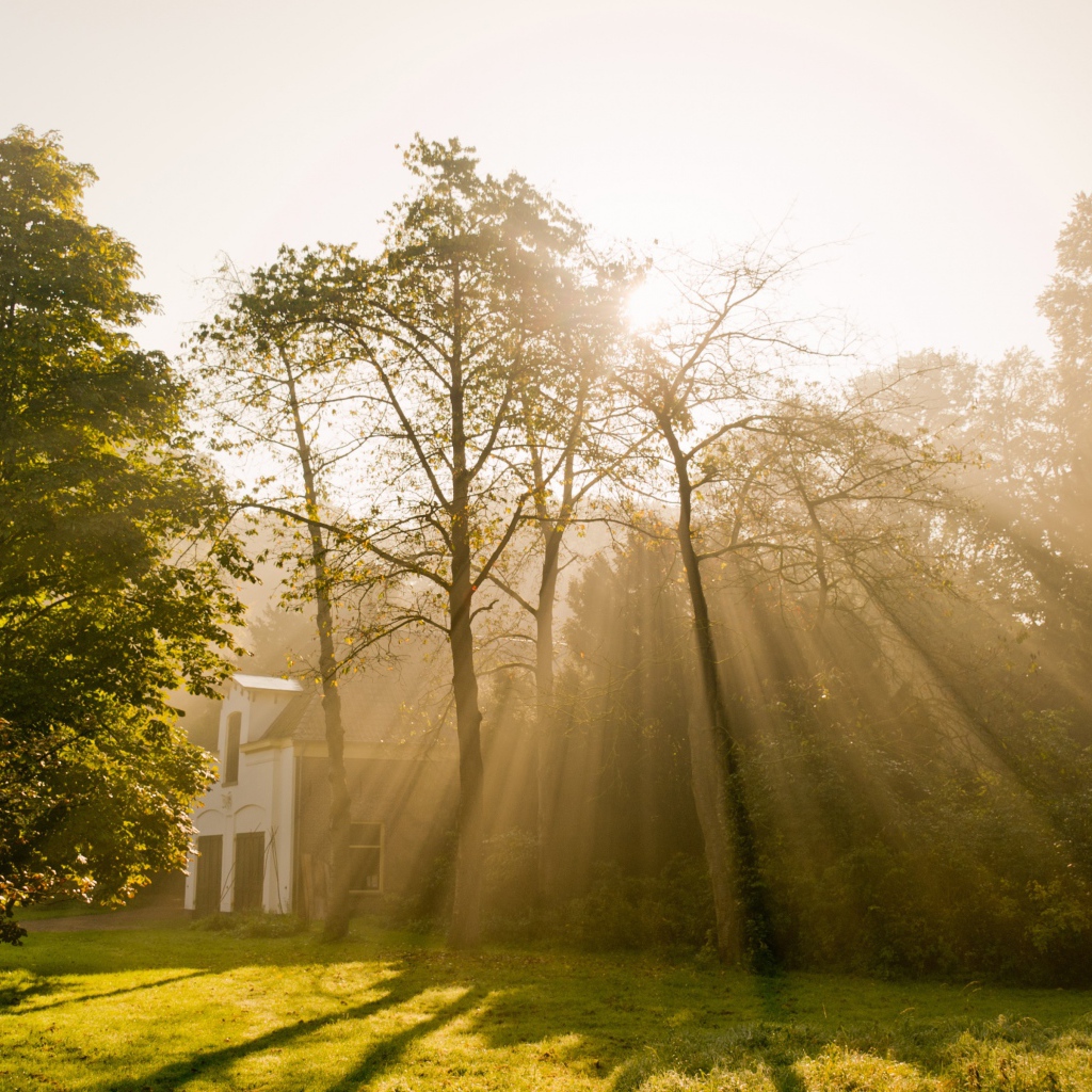 Солнце над Амстердамом