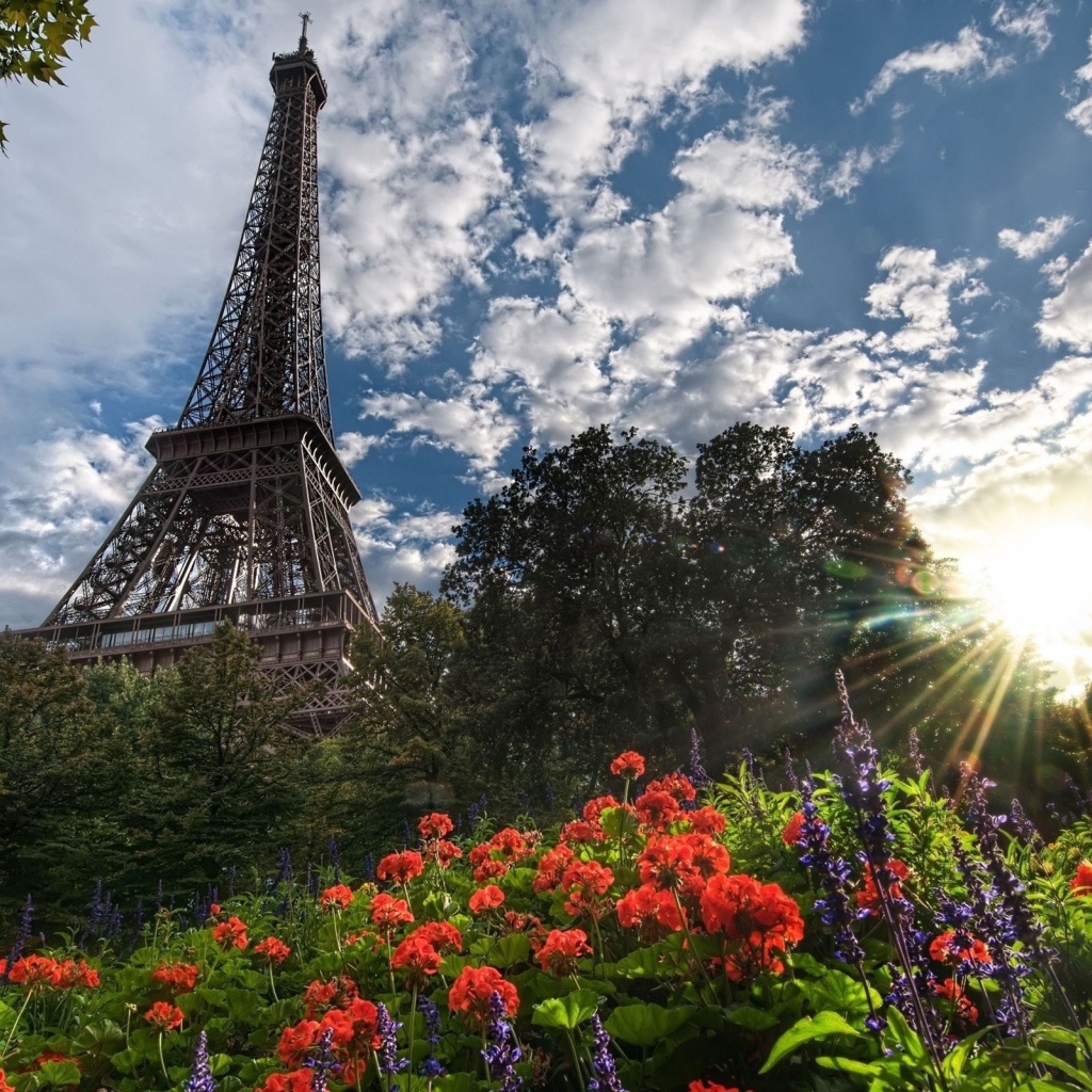 Башня и цветы в Париже